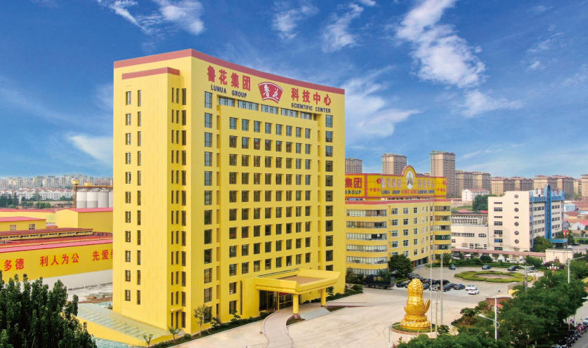 鲁花-在钉钉上打造鲁花移动办公平台,实现内部2万多名员工以及外部经销商伙伴的高效协同